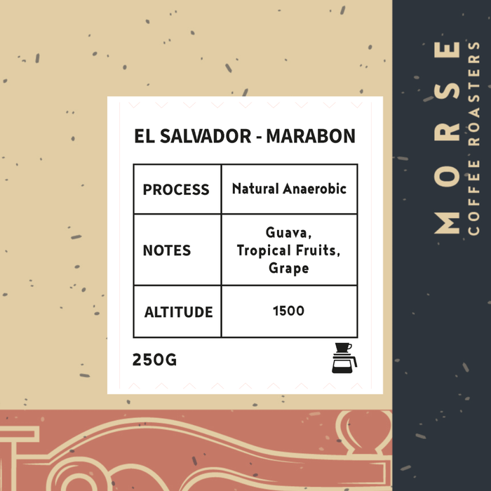 Morse Roastery | EL SALVADOR MARABON 250g